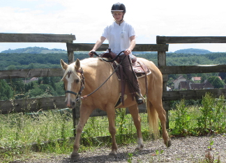 pretty qh palomino dor�