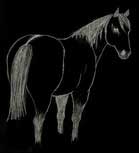 Eleveur de Quarter Horse dans le Jura