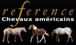 Reference chevaux americains